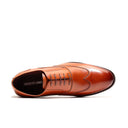 Martino Oxford Wingtip